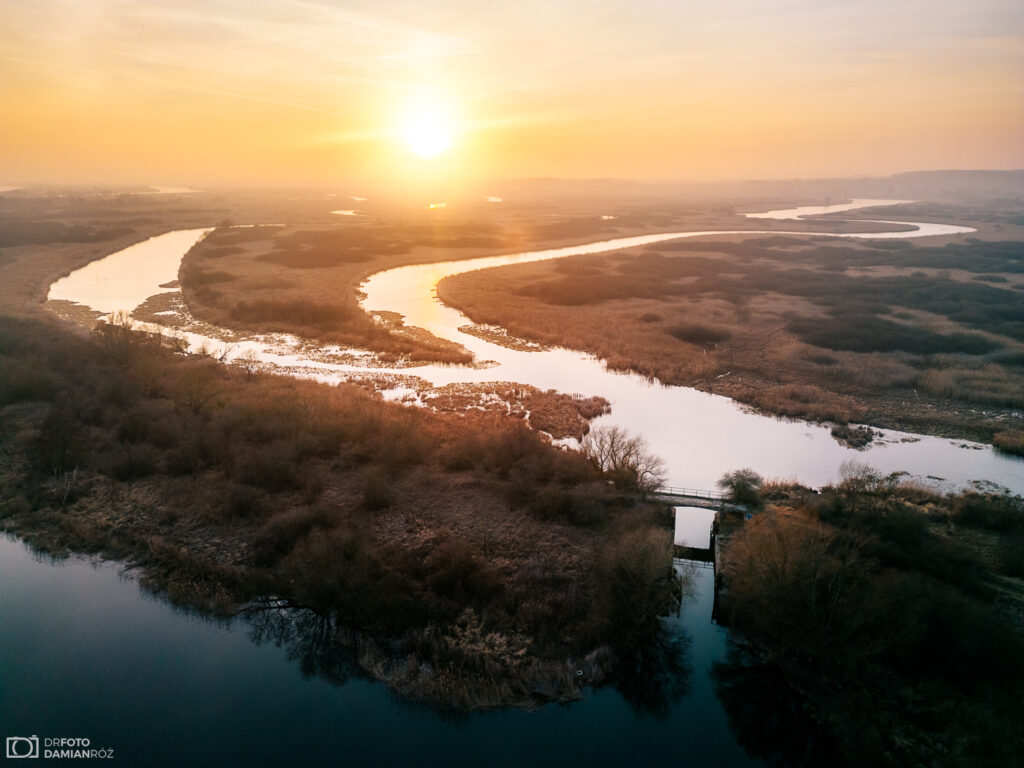 Dolna Odra pod Gryfinem