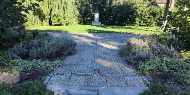 Stepnica zyska zielony skwer