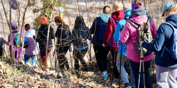 „Gryfino i zmiany klimatu”
