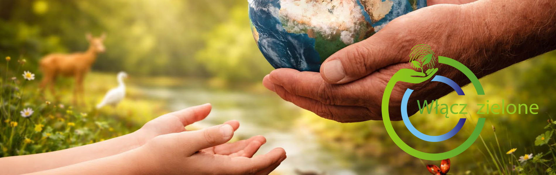 EDUKACJA – dla klimatu SOM